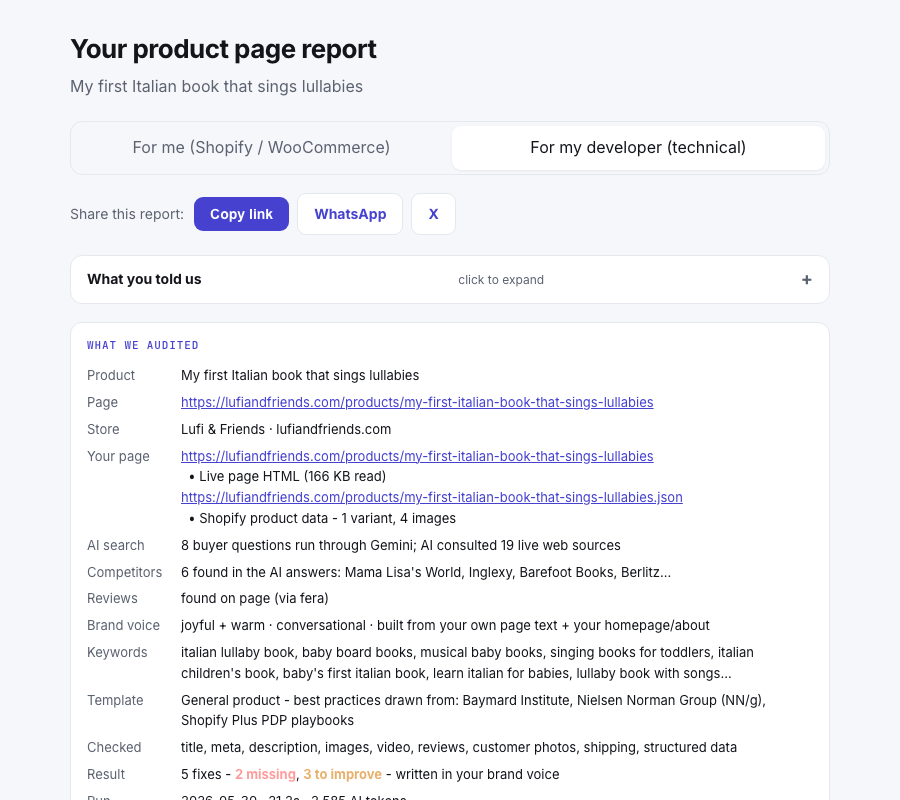 Technical view: audit summary, share, inputs panel, and the full 28-check breakdown